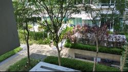 Le Reve (D14), Condominium #9254492